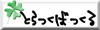 t-backle-clover.jpg